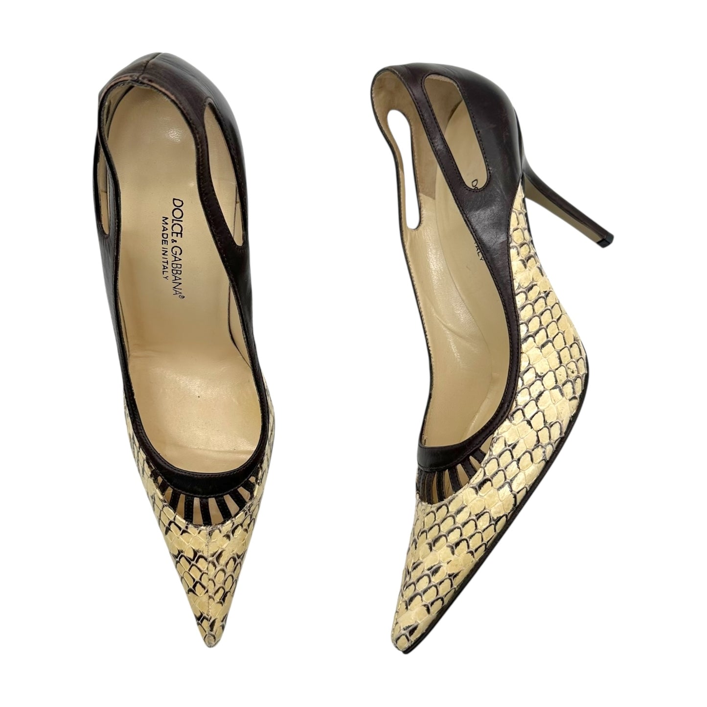 Dolce & Gabbana Ivory Python Pointed Toe Heels