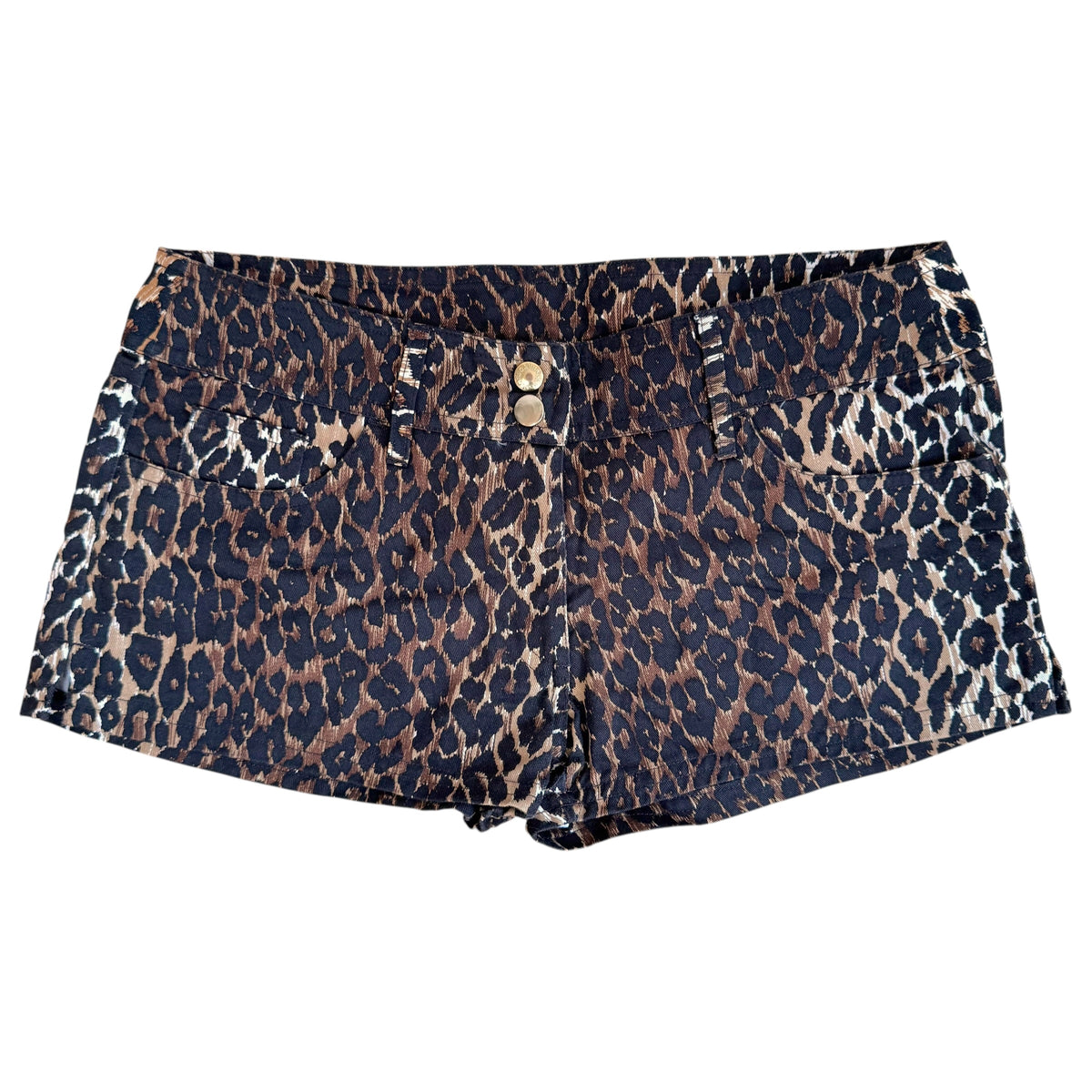 Dolce & Gabbana Leopard Print Low Rise Beach Shorts