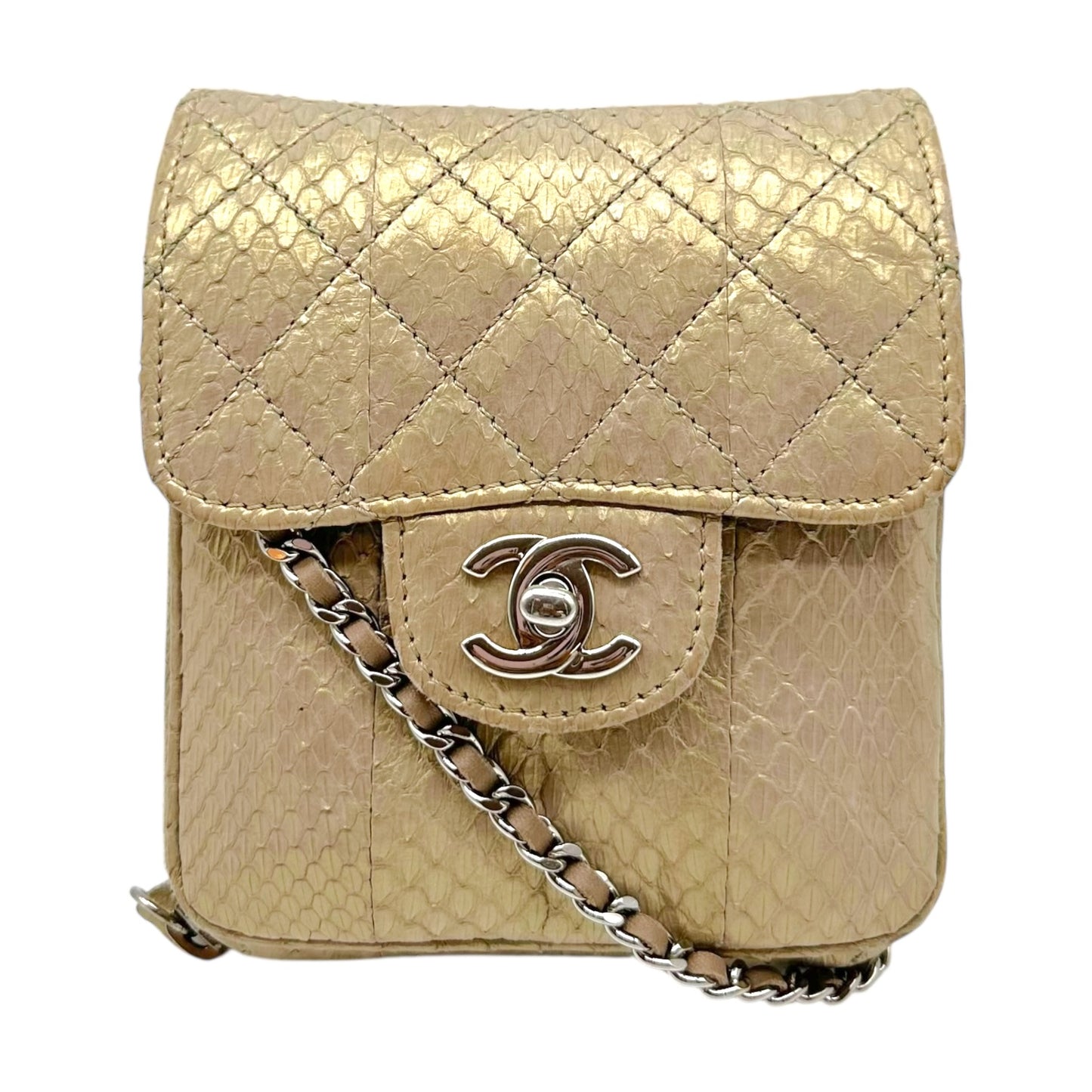 Chanel Gold Python & Silver Hardware Square Wallet On Chain Crossbody Bag 2012