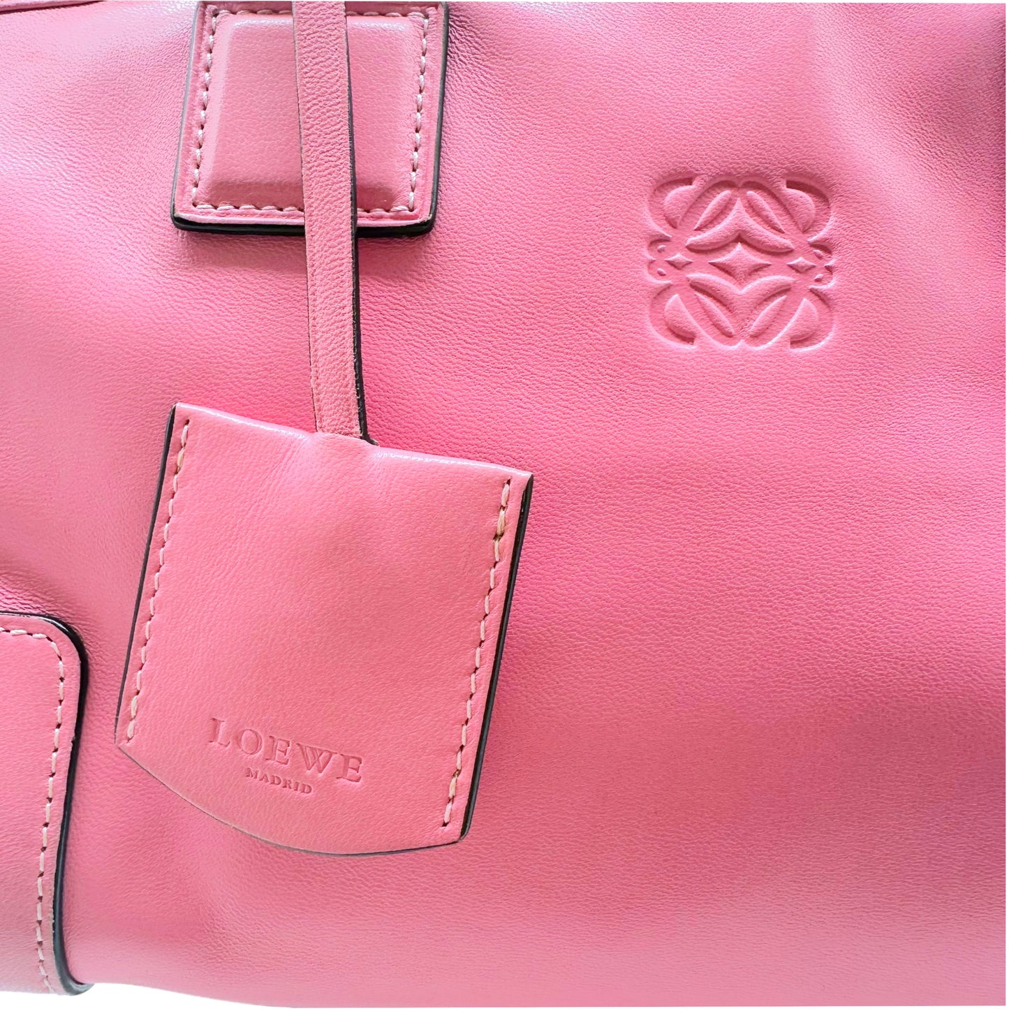 Loewe Pink Leather Amazona Bag