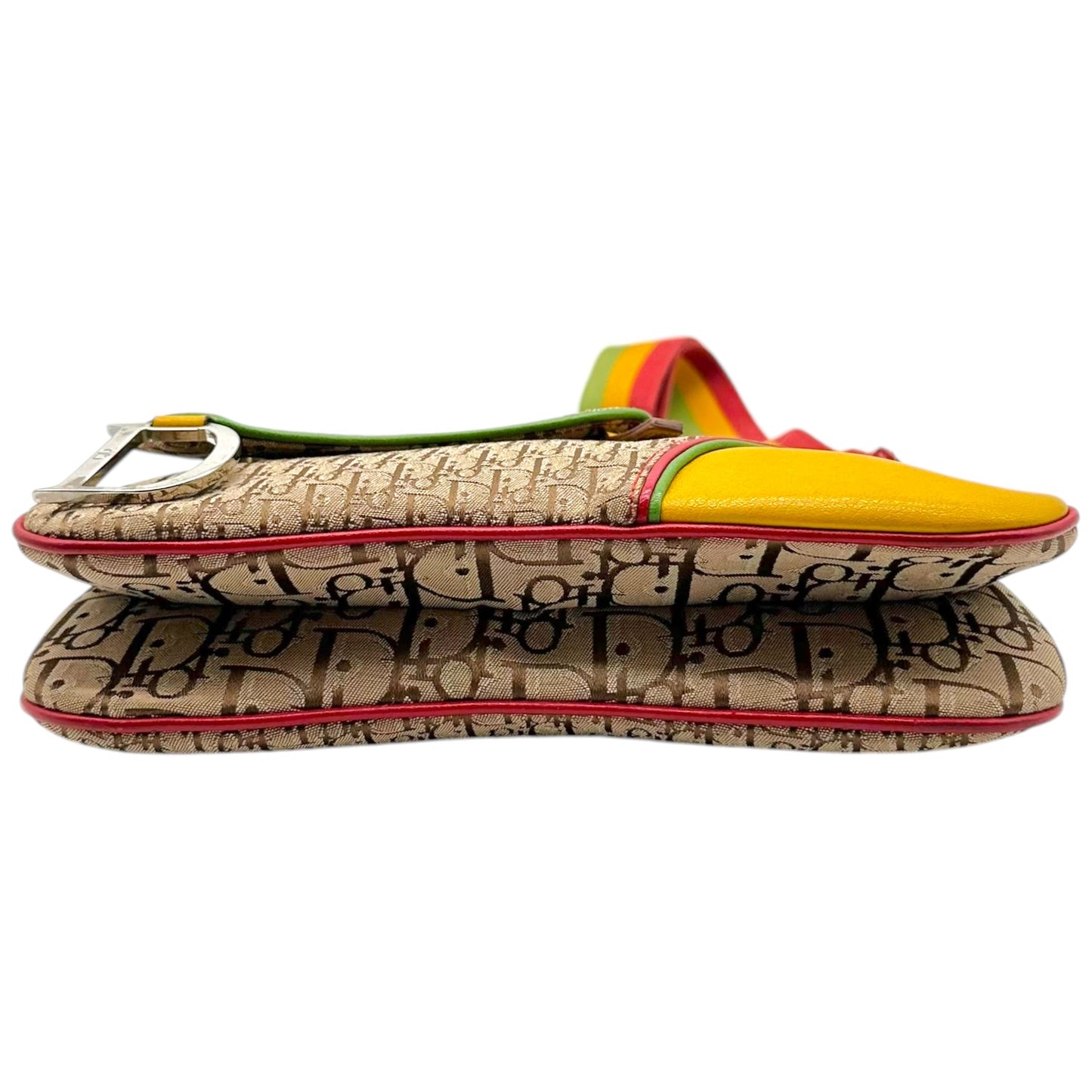 Christian Dior Crossbody Saddle Bag Rasta Monogram
