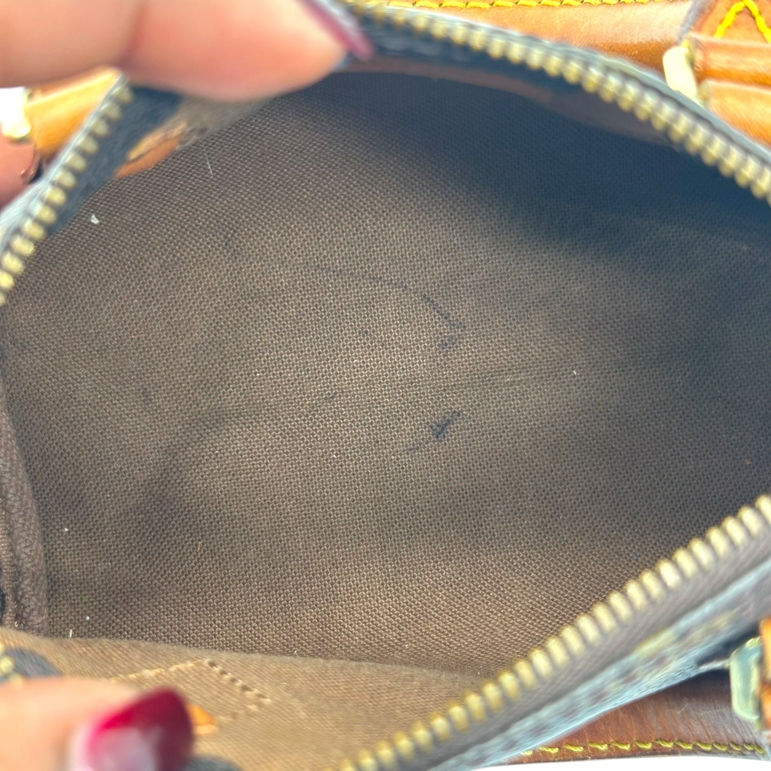 Louis Vuitton Classic Monogram Mini Speedy Bag - Outfit Repeater