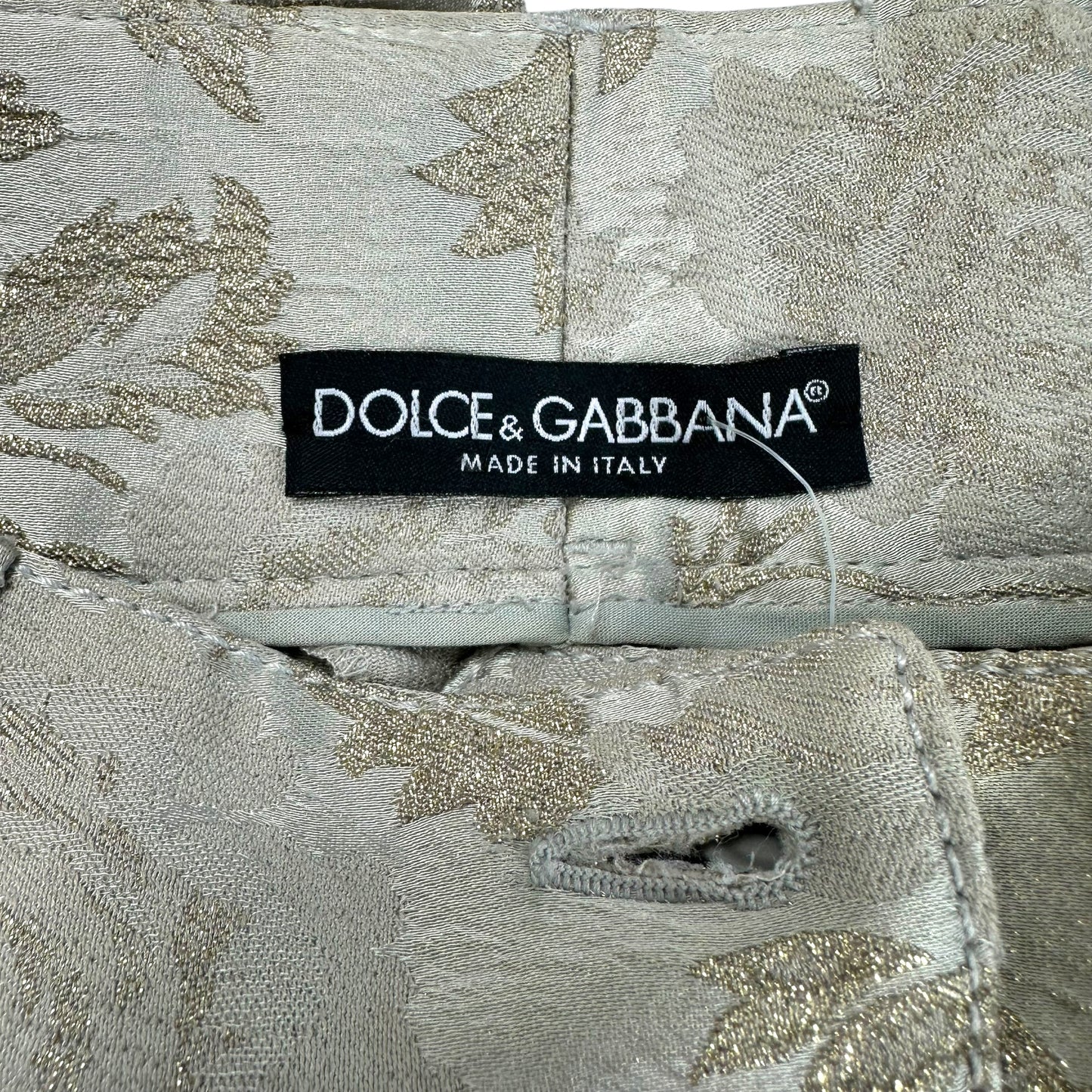 Dolce & Gabbana Silver Damask & Rhinestone Pants