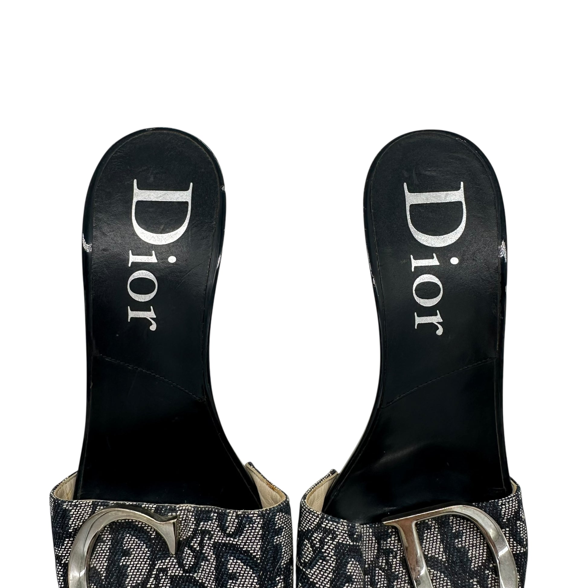 Christian Dior Blue Monogram Platform Mule Heels - Outfit Repeater