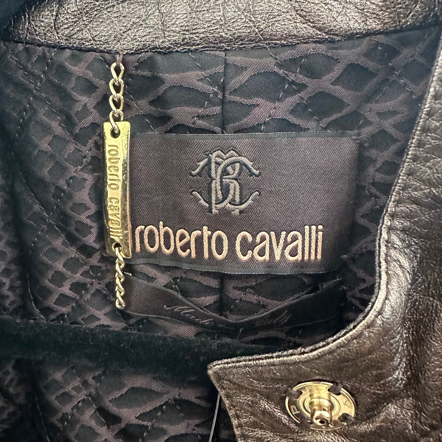 Roberto Cavalli 2008 Bronze Metallic Gradient Leather Jacket