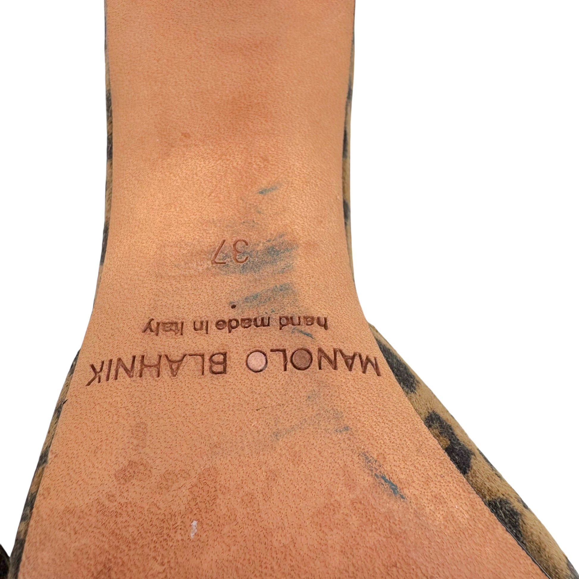 Manolo Blahnik Leopard Print Lucite Heeled Mules - Outfit Repeater