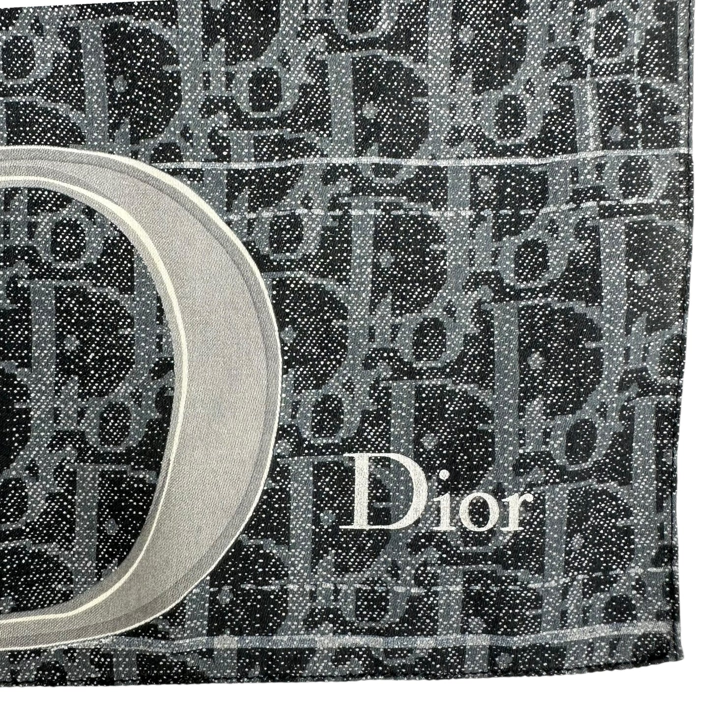 Dior Flight Scarf