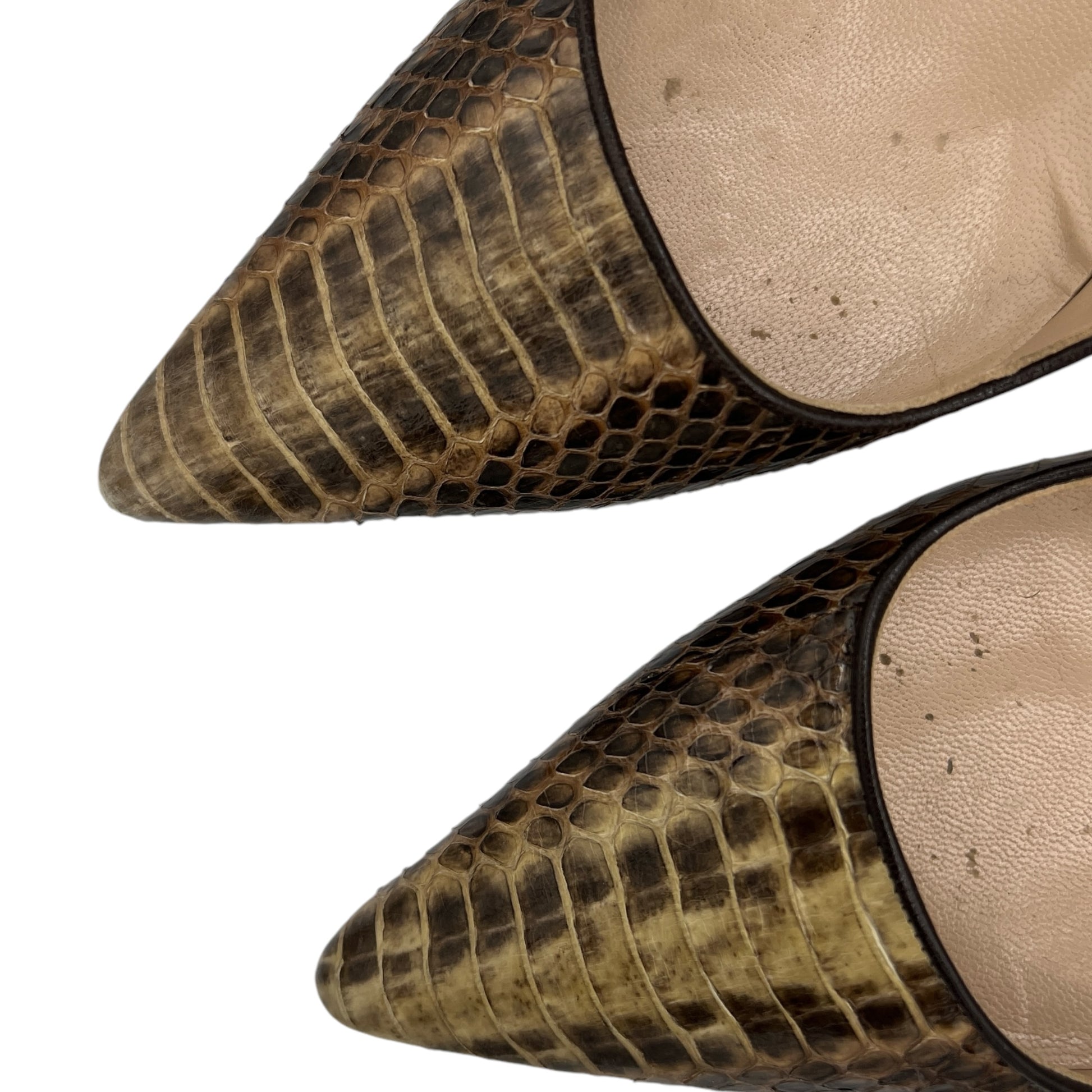 Manolo Blahnik Brown Snakeskin Pointed Toe Heels - Outfit Repeater