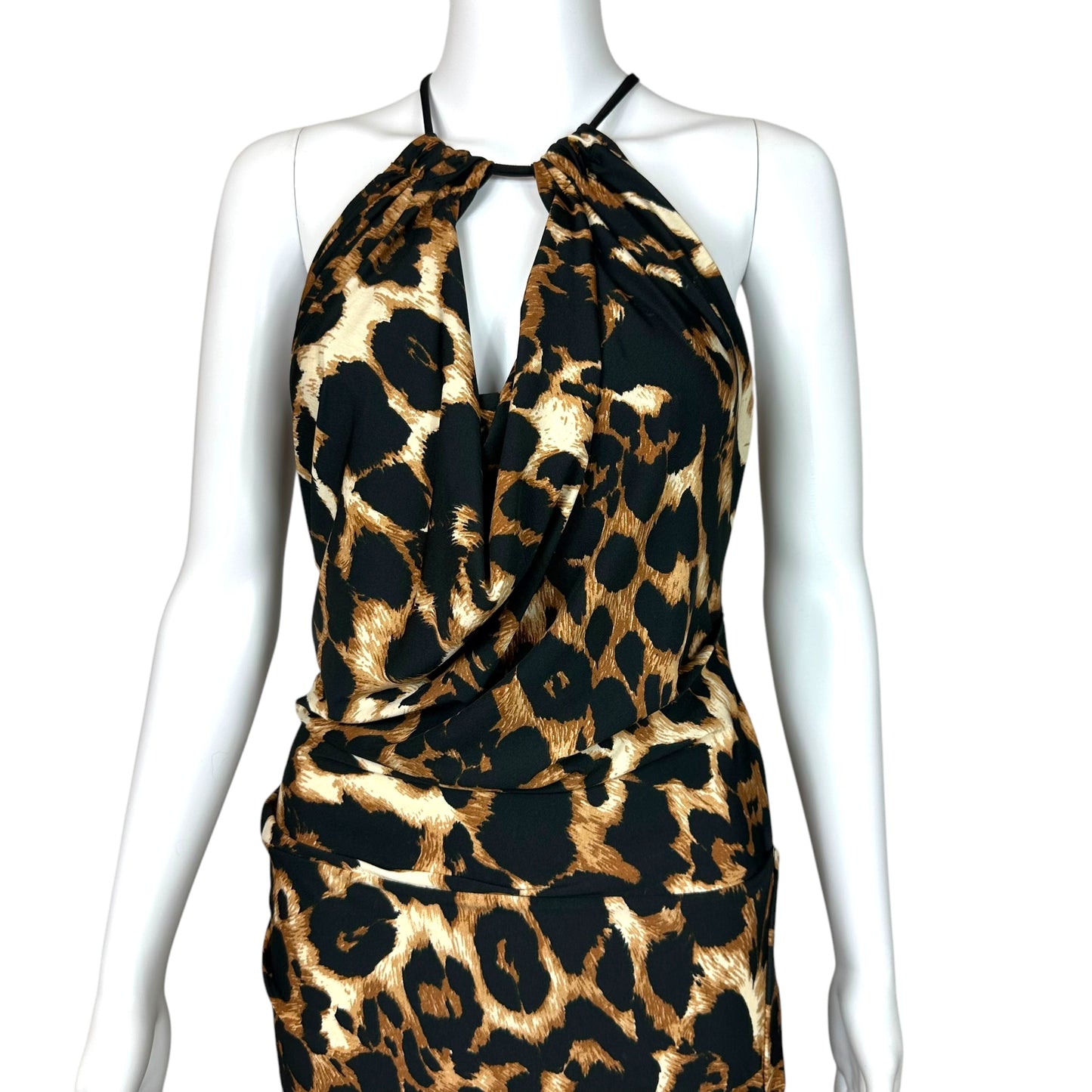 Roberto Cavalli Leopard Print Maxi Dress